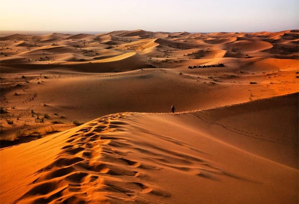 4 Days desert trips Casablanca
