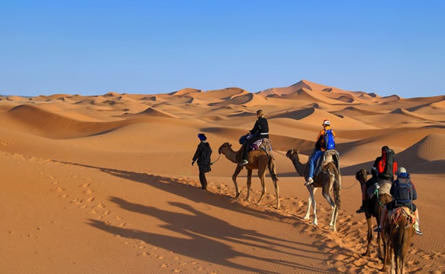 Morocco Desert Trips